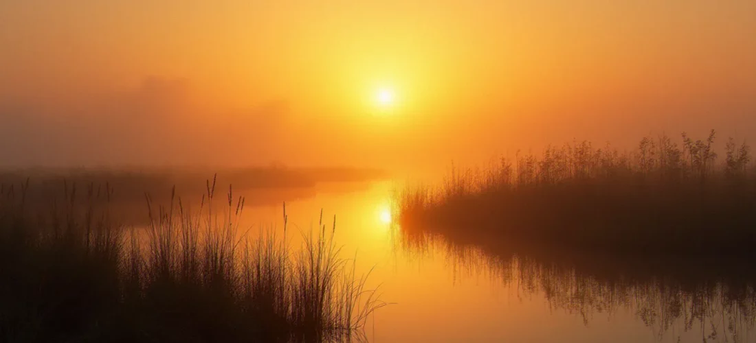 Photo paysage naturel d'un marais charentais au lever du soleil, lumière dorée rasante reflétée sur l'eau entre les roseaux